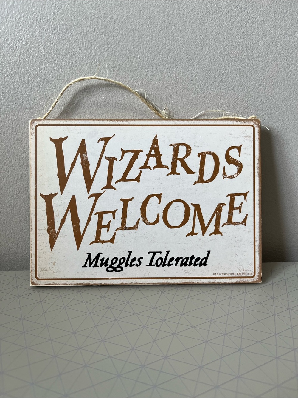 Harry Potter Hanging Wall Decor